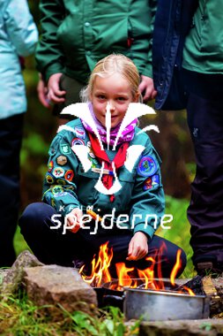 Bæver og ulve-turnering 