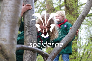 Bævere hos Bispebjergspejderne