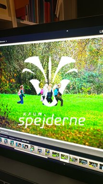 Bæver og ulve-turnering