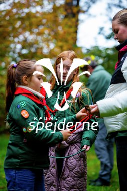 Bæver og ulve-turnering
