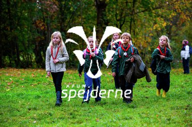 Bæver og ulve-turnering 