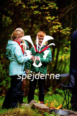 Bæver og ulve-turnering 