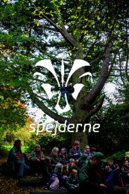 Bæver og ulve-turnering 