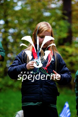 Bæver og ulve-turnering