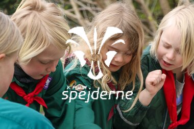 Bævere hos Bispebjergspejderne