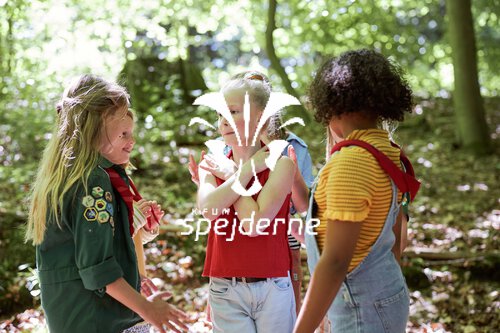 image-description