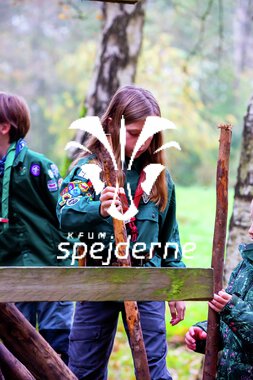 Bæver og ulve-turnering