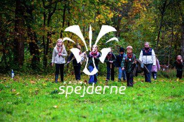 Bæver og ulve-turnering 