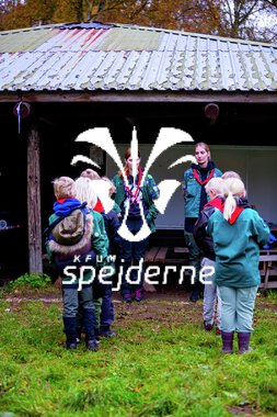 Bæver og ulve-turnering 