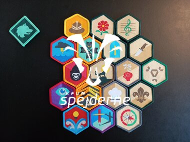 Ulvenes mærker og arbejdsprogram