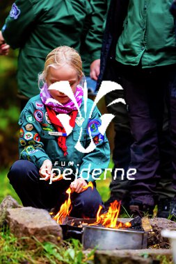 Bæver og ulve-turnering 