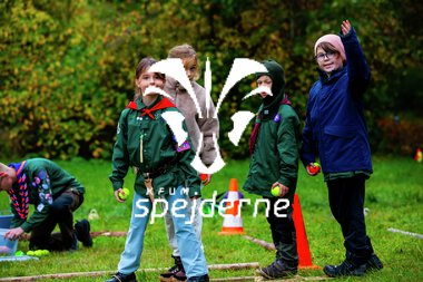 Bæver og ulve-turnering