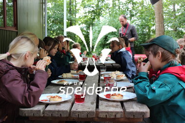 Bæverne spiser frokost