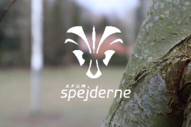 Bævere hos Bisp Absalon gruppe