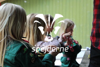 Bæverne binder knob