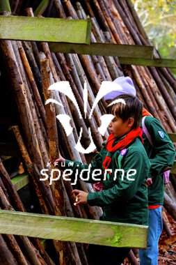 Bæver og ulve-turnering 