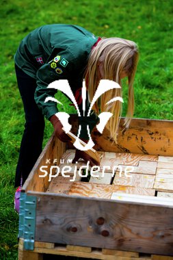 Bæver og ulve-turnering