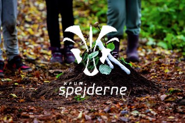 Bæver og ulve-turnering 