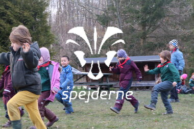 Bæverrekorder hos Bisp Absalon gruppe