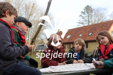 Bæverrekorder hos Bisp Absalon gruppe