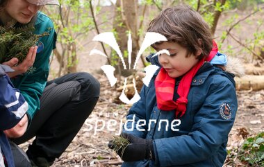 Bævere hos Bispebjergspejderne