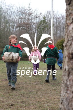 Bæverrekorder hos Bisp Absalon gruppe