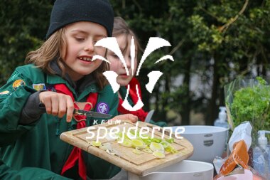 Bævere hos Bispebjergspejderne