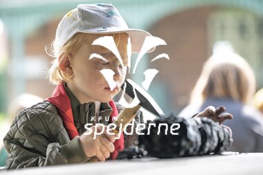 Familiespejdermøde i Harlev-Framlev