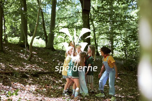 image-description