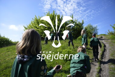 Ulvesommerlejr i Ikast gruppe