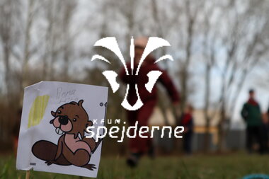 Bæverrekorder hos Bisp Absalon gruppe