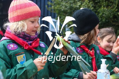 Bævere hos Bispebjergspejderne