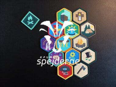 Juniorens mærker og arbejdsprogram