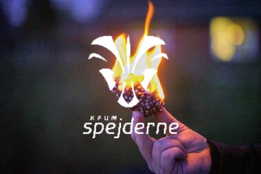 SciencePirater ildbold