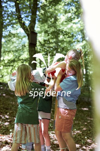 image-description