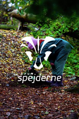 Bæver og ulve-turnering 