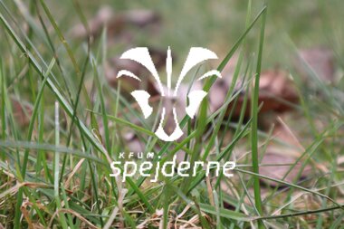 Bævere hos Bisp Absalon gruppe