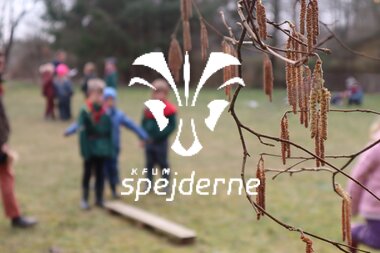 Bævere hos Bisp Absalon gruppe