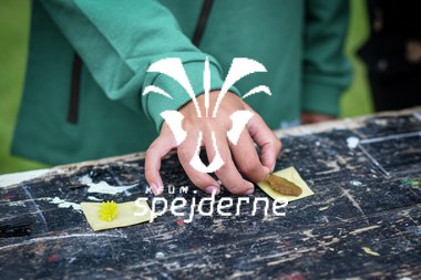 SciencePirater Aktivitetskasse