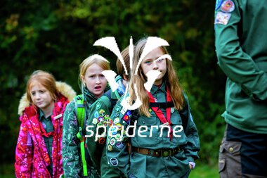 Bæver og ulve-turnering 