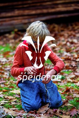 Bæver og ulve-turnering