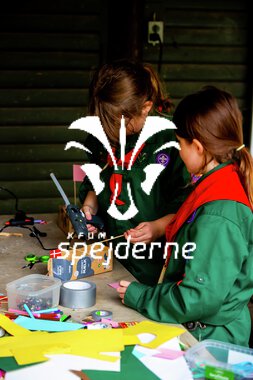 Bæver og ulve-turnering 