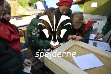 Ulvesommerlejr i Ikast gruppe