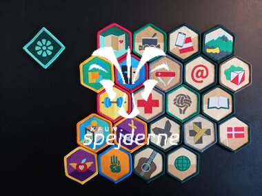 Seniornes mærker og arbejdsprogram