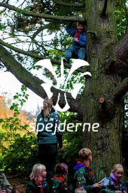 Bæver og ulve-turnering