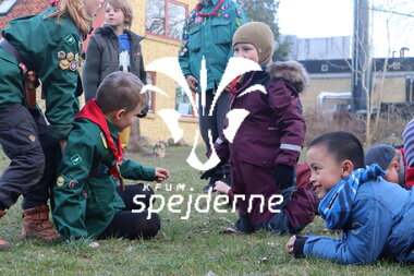 Bæverrekorder hos Bisp Absalon gruppe