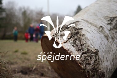 Bævere hos Bisp Absalon gruppe