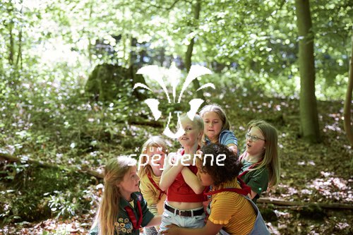 image-description