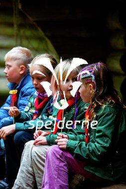 Bæver og ulve-turnering