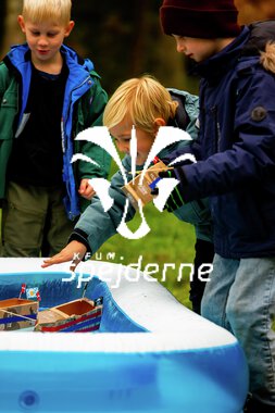 Bæver og ulve-turnering 